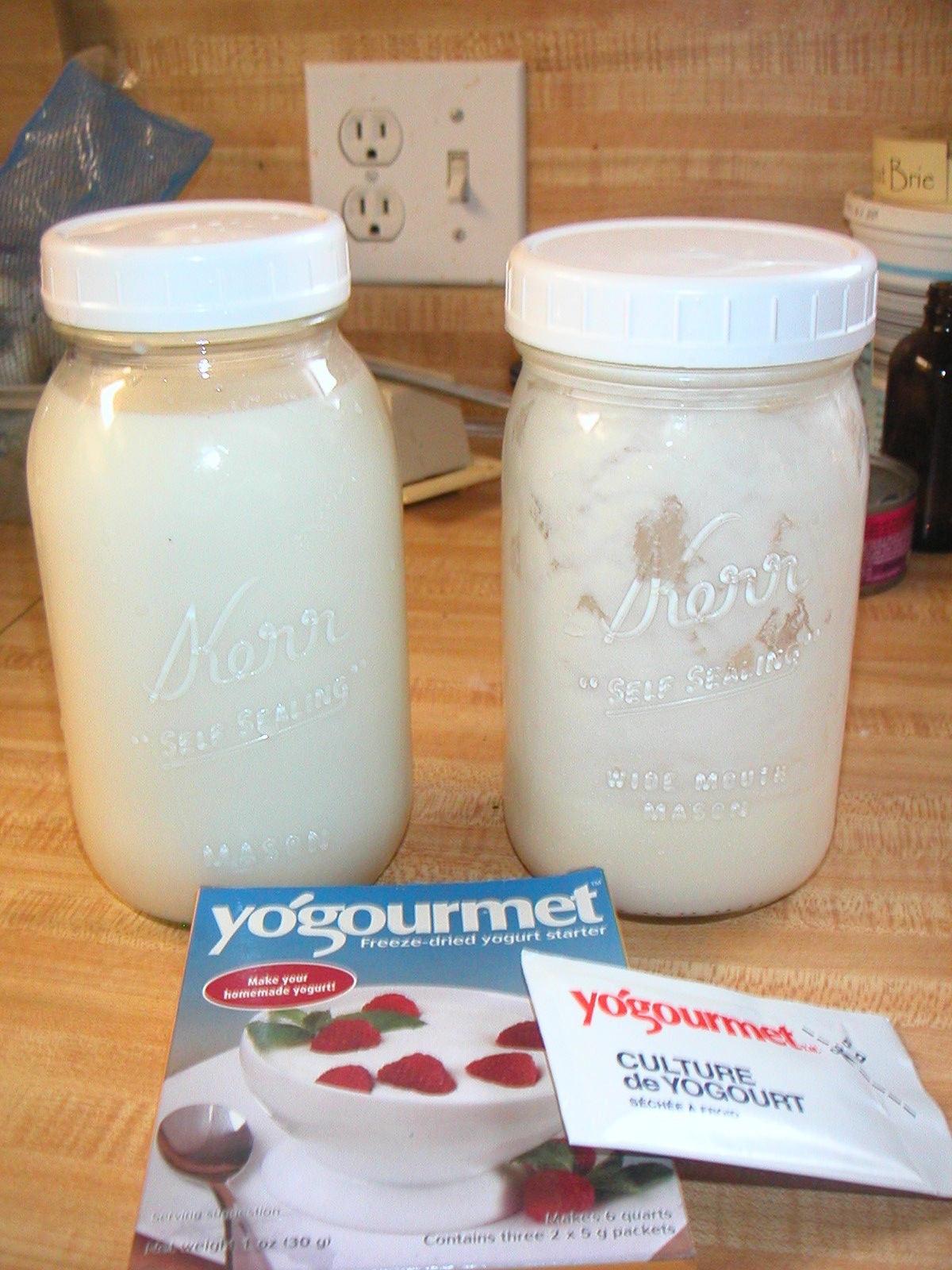 Yogourmet Freeze Dried Yogurt Starter And Creme Bulgare Starter, 1